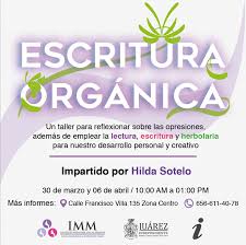 Instituto Municipal de las Mujeres