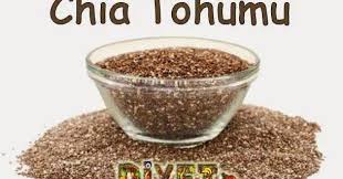 Chia Tohumu Nedir Zayiflatir Mi Diyet Tohum Saglik