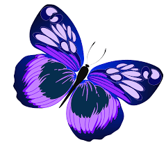 Butterfly outline butterfly outline pink butterfly with black. Blue And Purple Butterfly Png Clipart Butterfly Clip Art Purple Butterfly Butterfly Art