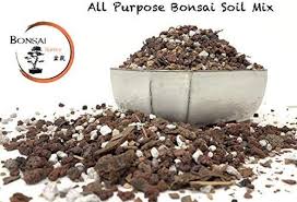 Older formulations of bonsai soil called for gravel or decomposed granite as a significant part of the formulation. Bonsai Tree Soil By The Bonsai Supply All Purpose Ready To Use Bonsai Potting Blend 2 Quarts Bag Pumice Lava Calcined Cl Bonsai Soil Bonsai Plants Bonsai
