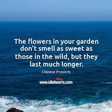 So it really isn't in your interest to smell like flowers. The Flowers In Your Garden Don T Smell As Sweet As Those In The Wild Idlehearts