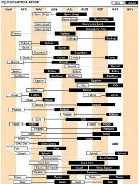 Neat Gantt Chart Of Garden Timing Veg Garden Edible