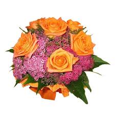 Check spelling or type a new query. Dawn S Early Light Orange Roses Slovenia