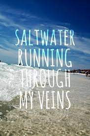 Https Quotesstory Com Daily Quotes Summer Quotes Summer Quotes Saltwater Running Through My Veins Travel Beach Summ Beach Quotes Summer Quotes Ocean Quotes