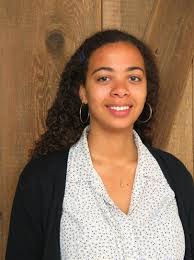 Participatory Action in Schools: Improving school climate and safety in  K-12 schools for sexual and teen dating violence prev