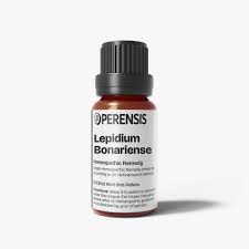 Image result for Lepidium bonariense