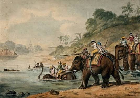 Tiger hunting | Wellcome Collection