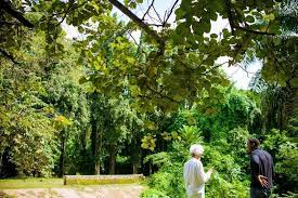 More news for wole soyinka house » Inside Wole Soyinka S Abeokuta Forest House Decorhubng