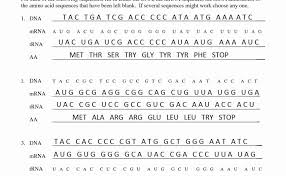 By simply creating a worksheet, you will always be prepared. Dna Transcription And Translation Practice Test Answers Examplepapers