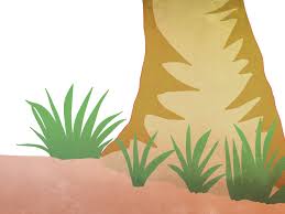 Pin On Gardening