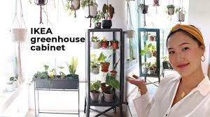 Plant Collection Tour Of My Indoor Greenhouse Ikea Houseplant Greenhouse Cabinet Jolene Foliage Youtube Indoor Greenhouse Plant Collection Greenhouse