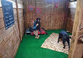 You may also give us a call at 413.322.3333 or email us at info@waggingtailspetresort.net. Wagging Tails Pet Resort Slated To Open This Month At Old Heritage Farm In Easthampton