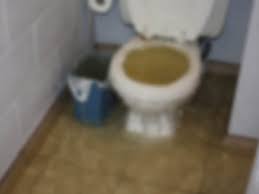 Klozete otururken 2 kere düşünün. Tuvalet Tikanikligi Acma Yontemleri Pro Tesisat