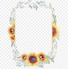 Large collections of hd transparent sunflower png images for free download. Reen Watercolor Hand Painted Sunflower Border Transparent Transparent Sun Flower Border Png Image With Transparent Background Toppng