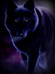 Having a werewolf be the childhood rival of a vampire is really the most i could ask for from a supernatural anime. Anime White Wolf With Purple Eyes Novocom Top