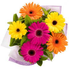 We've been minneapolis local florist since 1961 and we are proud to serve this community. Flower Delivery For Poland Onlineflowersdelivered