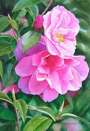 Deep Pink Camellias By Sharon Freeman Flower Art Flower Painting Floral Art