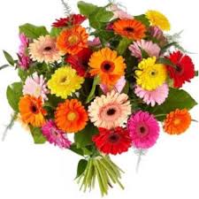 Wedding bouquets 61 wedding dresses 7 wedding veils 6. Flower Delivery Georgia Online Florist Georgia