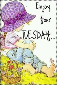 images?q=tbn:ANd9GcQ-qCehQs88axMsvAPzPkVOaC2X4WfCCKBDN5AhCwPHgc7X7snf