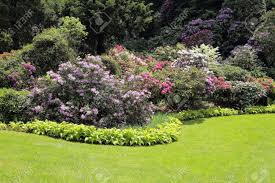 Wir bauen und pflegen grünanlagen aller art: Schone Rhododendron Blumen Busche Und Baume In Einem Garten Landschaft Lizenzfreie Fotos Bilder Und Stock Fotografie Image 53178321