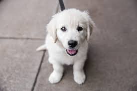 My 15 month old Charlie girl ❤️❤️