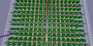 Leave a like comment follow. Make Your Personal Cactus Farm In Minecraft By Newyorker7go Fiverr