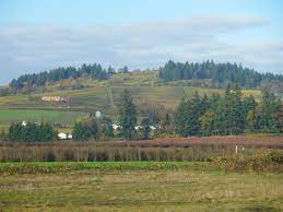 Willamette Wine Country Rv Park Home Facebook