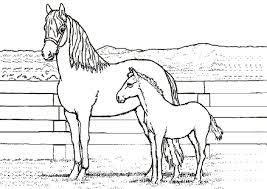 Klicken sie auf den drucker unten um das bild zu drucken. Malvorlage Pferd Fohlen Coloring And Malvorlagan