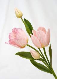 Sugar Tulip Tulip Buds Gum Paste Flowers Sugar Flowers Tutorial Cake Decorating Flowers