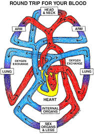 This helps relax blood vessels and enable blood flow. Lower Blood Pressure And Increase Blood Flow