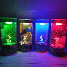 Jual ant world studio yaitu sebuah akuarium semut yg di berisi gel transparan yg berfungsi sbg habitat dan makanan para semut. Harga Aquarium Kecil Terbaik Hobi Koleksi Agustus 2021 Shopee Indonesia