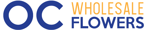 Maybe you would like to learn more about one of these? Oc Wholesale Flowers Premium Quality Low Prices