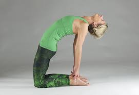 Fascial network train and improve your posture strength by gunda slomka. Fitnessschool Tv Gunda Slomka Educator And Presenter