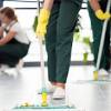 Trusted rug cleaners in ottawa. 1