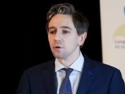 Harris defends rise to €1.4bn in cost of new children's hospital