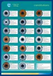 10 best iridology images in 2019 iridology chart