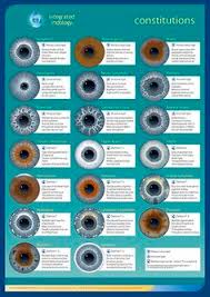 10 Best Iridology Images In 2019 Iridology Chart