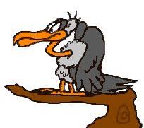 I Will Gladly Pay You Tuesday For A Hamburger Today Gif Pin By Nelson Lowes Sr On Cartoon Images Cartoon Vulture Cartoon Images