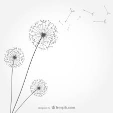 Download Free Minimalist Dandelion Svg Dxf Eps Png Svg Cut Files Free Download
