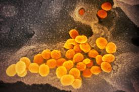 The report that is issued each monday contains combined data that was collected on. More Evidence Suggests Covid Was In U S By Christmas 2019