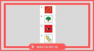 Soal tematik kelas 6 tema 3 subtema 2 dan kunci jawaban merupakan latihan soal ulangan/penilaian harian yang tematik kurikulum 2013 tema 3 kelas 6. Soal Tematik Kelas 6 Tema 1 Subtema 3 Dan Kunci Jawaban Bola Macca