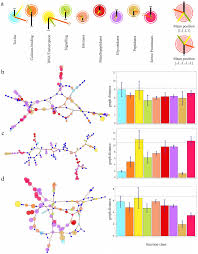 Exploring Protein Dynamics Space: The Dynasome as the Missing Link between  Protein Structure and Function