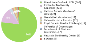 Image result for Erica microdonta