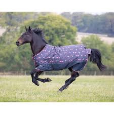 The ultimate horse blanketing guide smartpak equine. Shires Tempest Original Lite Turnout Horse Rug Flamingo For The Horse From Oakfield Country Fashion Equestrian Uk