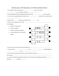 The principal enzyme involved in dna replication is. Dna Structure And Replication Worksheet Dna Replication Transcription And Translation Dna