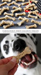 Diy Dog Treat Recipes Fabulously Fishy Salmon And Oat Dog Treats Dog Biscuit Recipes Pet Treats Recipes Salmon Dog Treats