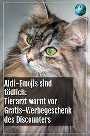 Aldi Emojis Sind Todlich Tierarzt Warnt Vor Gratis Geschenk Des Discounters Tierarzt Tiere Werbegeschenke