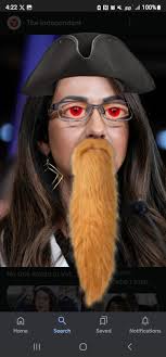 Captain Donald Hook and The MAGA pirates : r/TrumpMemes