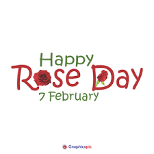 Happy Rose Day 7th February Stock Photos Graphics Vectors Illustrations Background Icons Symbol Png By Graphics Pic Graphics Pic To created add 99 pieces, transparent rose images of your project files with the background cleaned. graphics pic