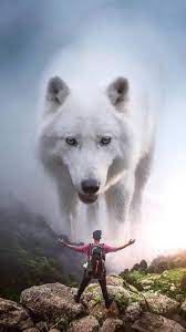 Pin By Veroni4kanime On Wallpapers Giant Animals Lion Pictures Beautiful Wolves